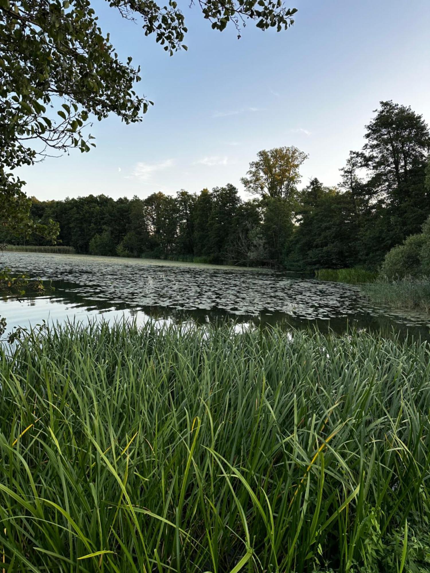 Apartament Vip Centrum Mrągowo Exteriör bild